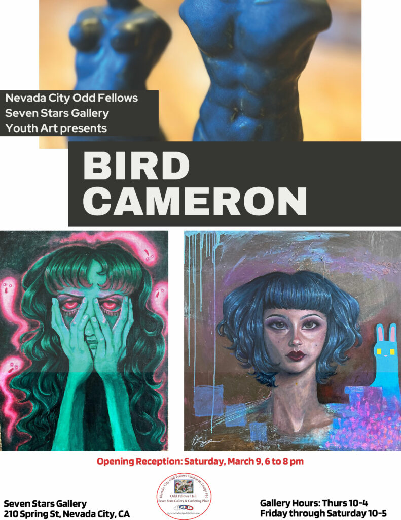 Youth Arts: Bird Cameron @ Seven Stars Gallery Odd Fellows Hall